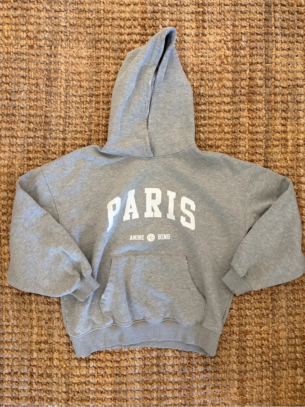Anine Bing Aiden University Paris Hoodie Heather Grey Size S